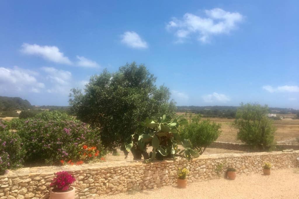 Casa Rural Es Cap De Barbaria San Francisco Javier Εξωτερικό φωτογραφία