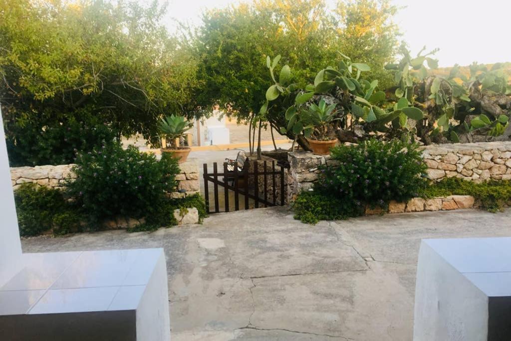 Casa Rural Es Cap De Barbaria San Francisco Javier Εξωτερικό φωτογραφία