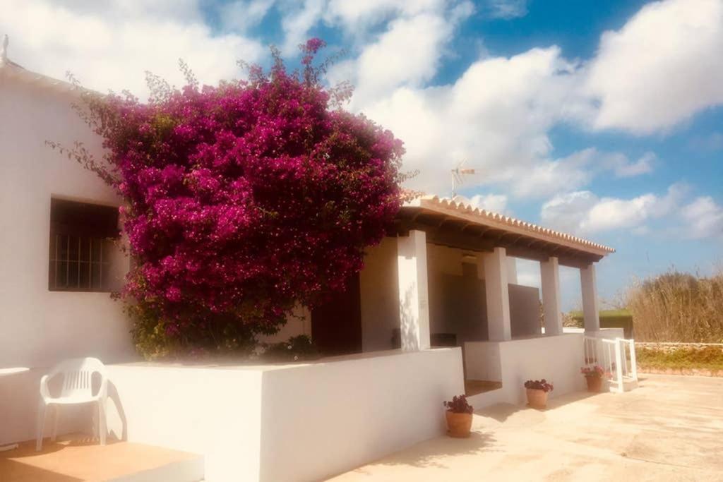 Casa Rural Es Cap De Barbaria San Francisco Javier Εξωτερικό φωτογραφία