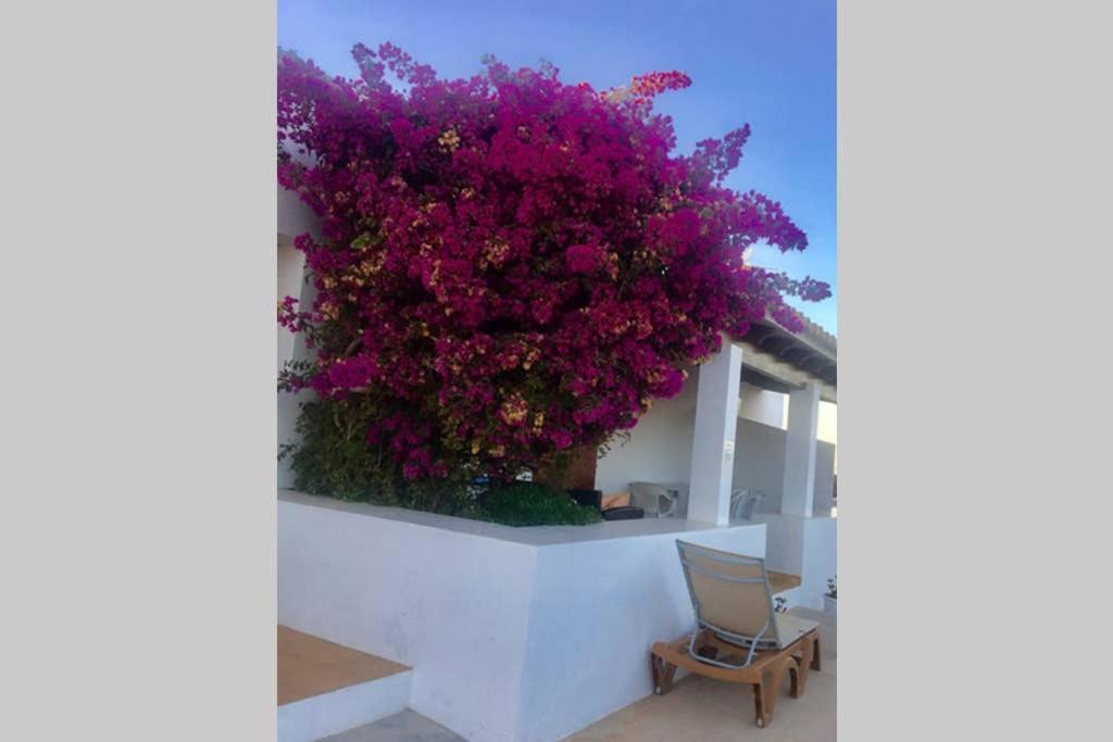 Casa Rural Es Cap De Barbaria San Francisco Javier Εξωτερικό φωτογραφία
