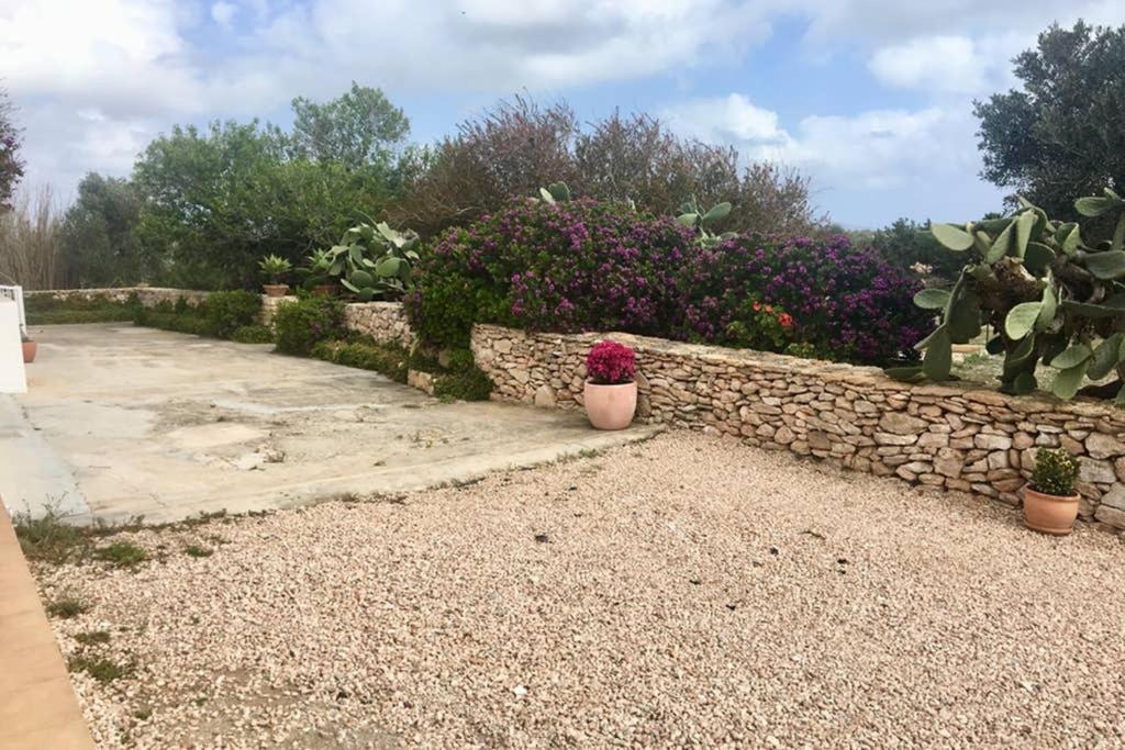 Casa Rural Es Cap De Barbaria San Francisco Javier Εξωτερικό φωτογραφία