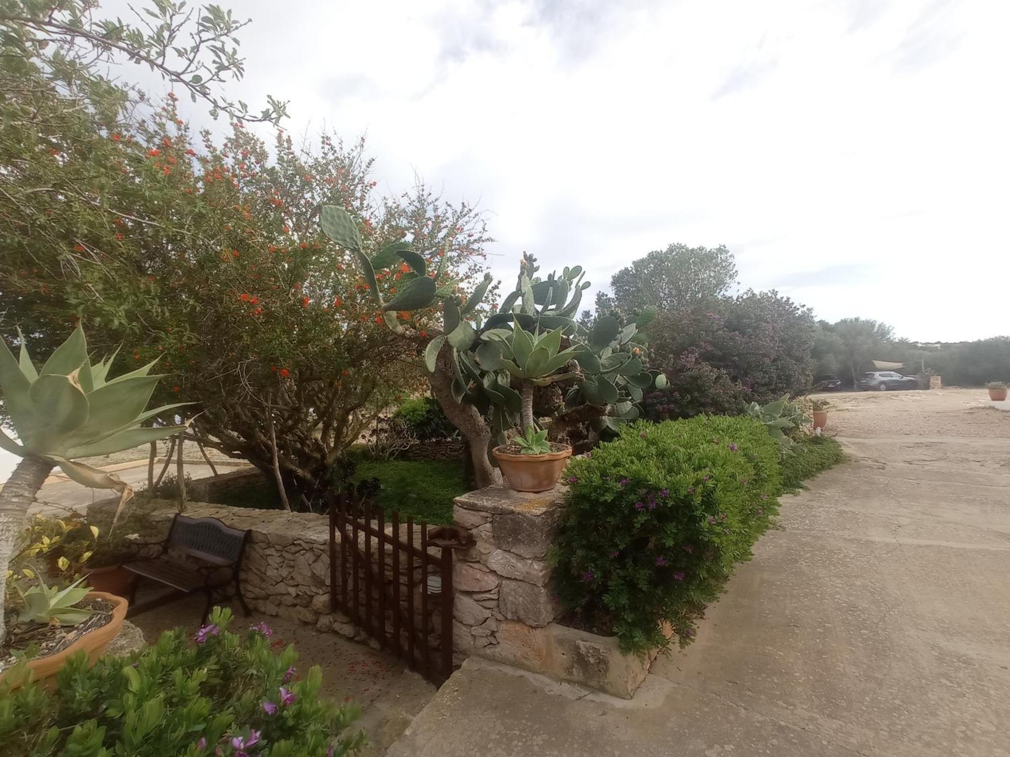 Casa Rural Es Cap De Barbaria San Francisco Javier Εξωτερικό φωτογραφία